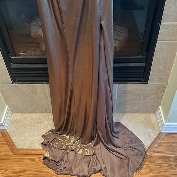 Gorgeous Terani dress - Picture 8 of 13